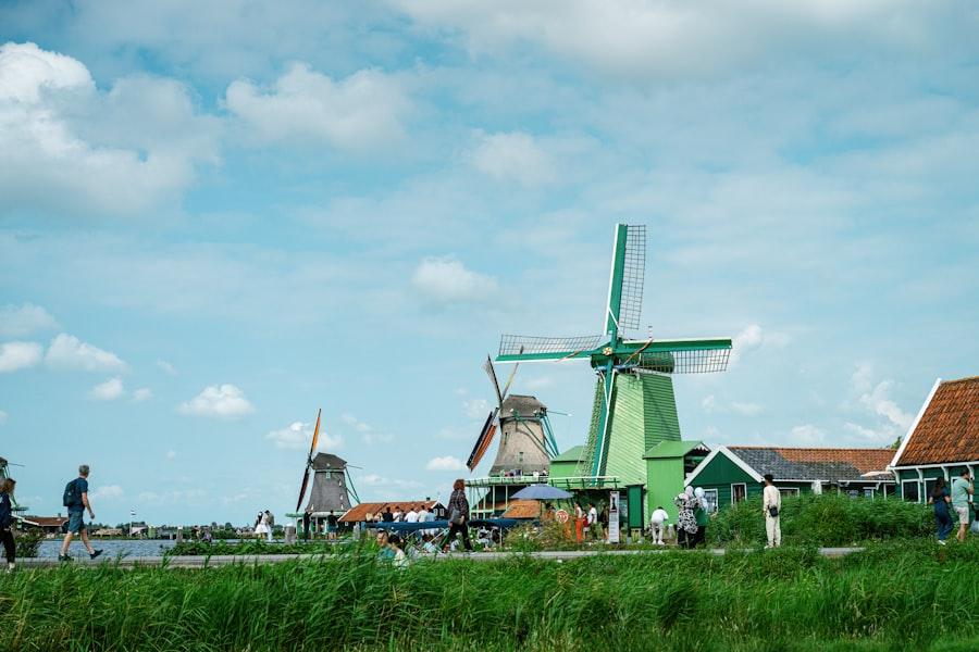 Export Spices to the Netherlands: Required Certification