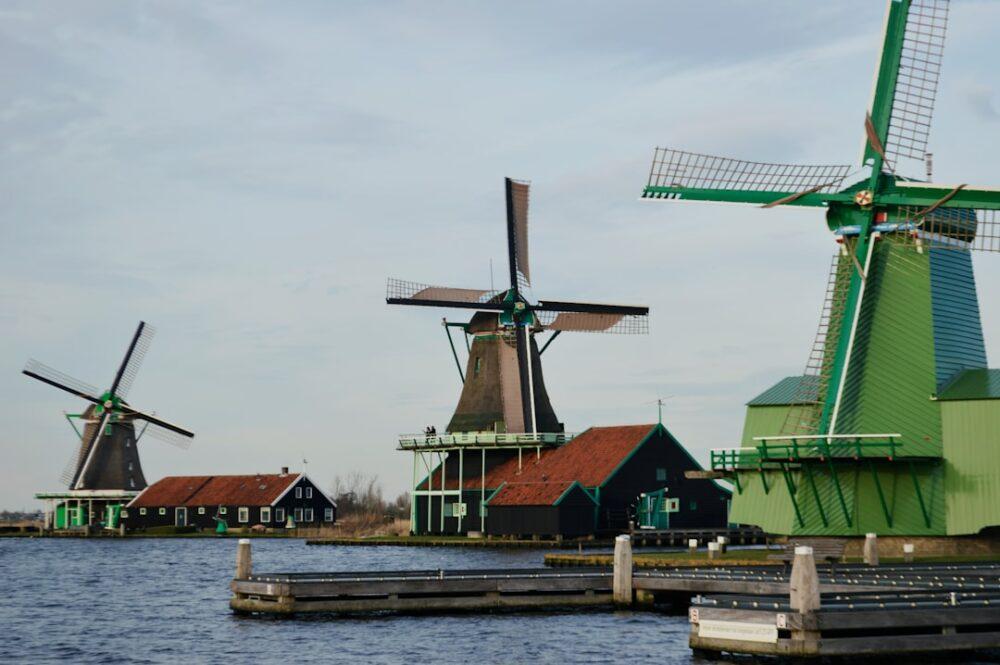 Photo Export Spices to the Netherlands: Required Certification