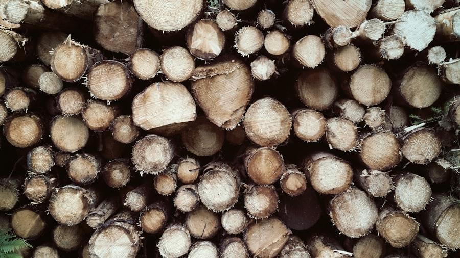 Photo Fumigation Wood